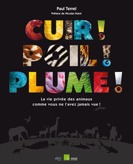 Ouvrage Cuir, Poil, Plume Ouvrage Cuir, Poil, Plume
