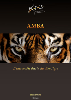 Adaptation d'une maquette existante pour cette présentation d'un projet de documentaire télé, au format A4 Présentation d'un documentaire télé sur le tigre de l'amour, Amba